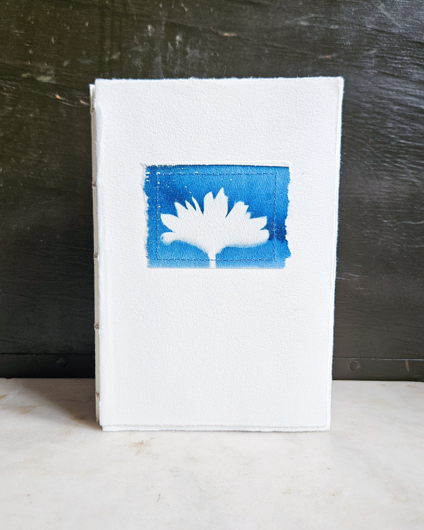 CYANOTYPE #7