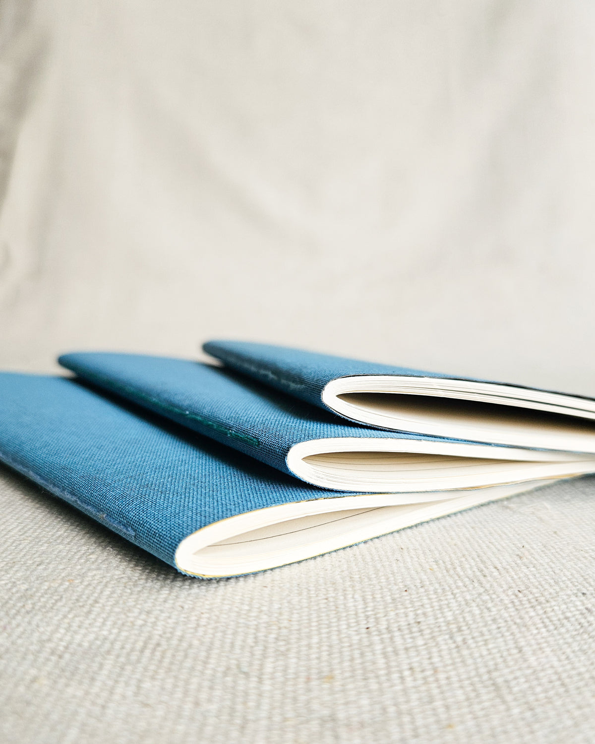 ROBIN BLUE JOURNAL