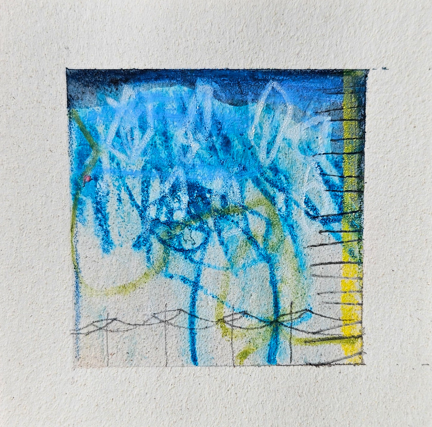 (NEW) EXPLORATIONS IN LEFT HANDEDNESS : ROUND 38