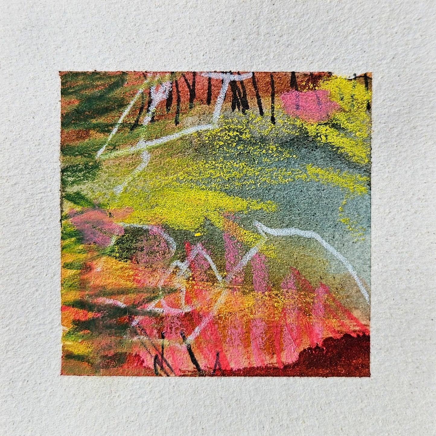 (NEW) EXPLORATIONS IN LEFT HANDEDNESS : ROUND 49