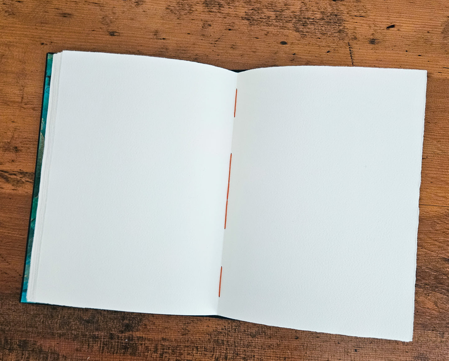 BOX OF SARDINES JOURNAL