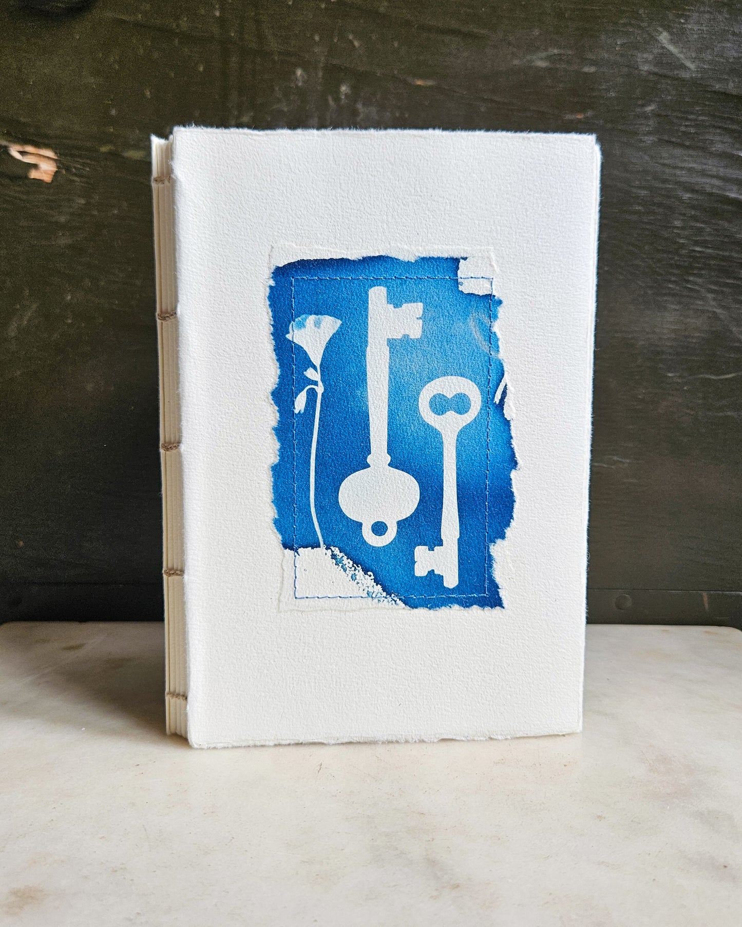 CYANOTYPE #1