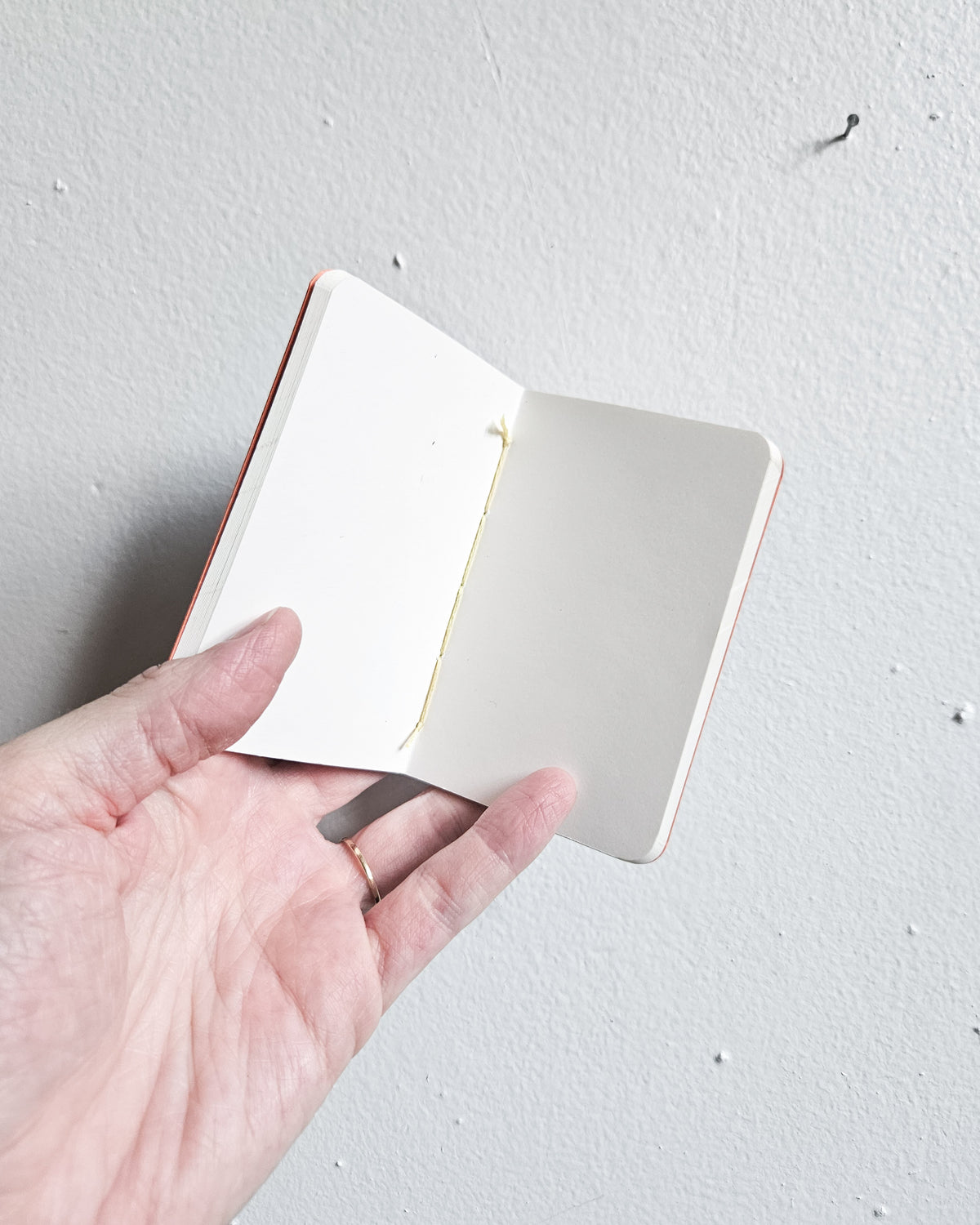 THIS IS A JOURNAL/SKETCHBOOK (tiny+small)