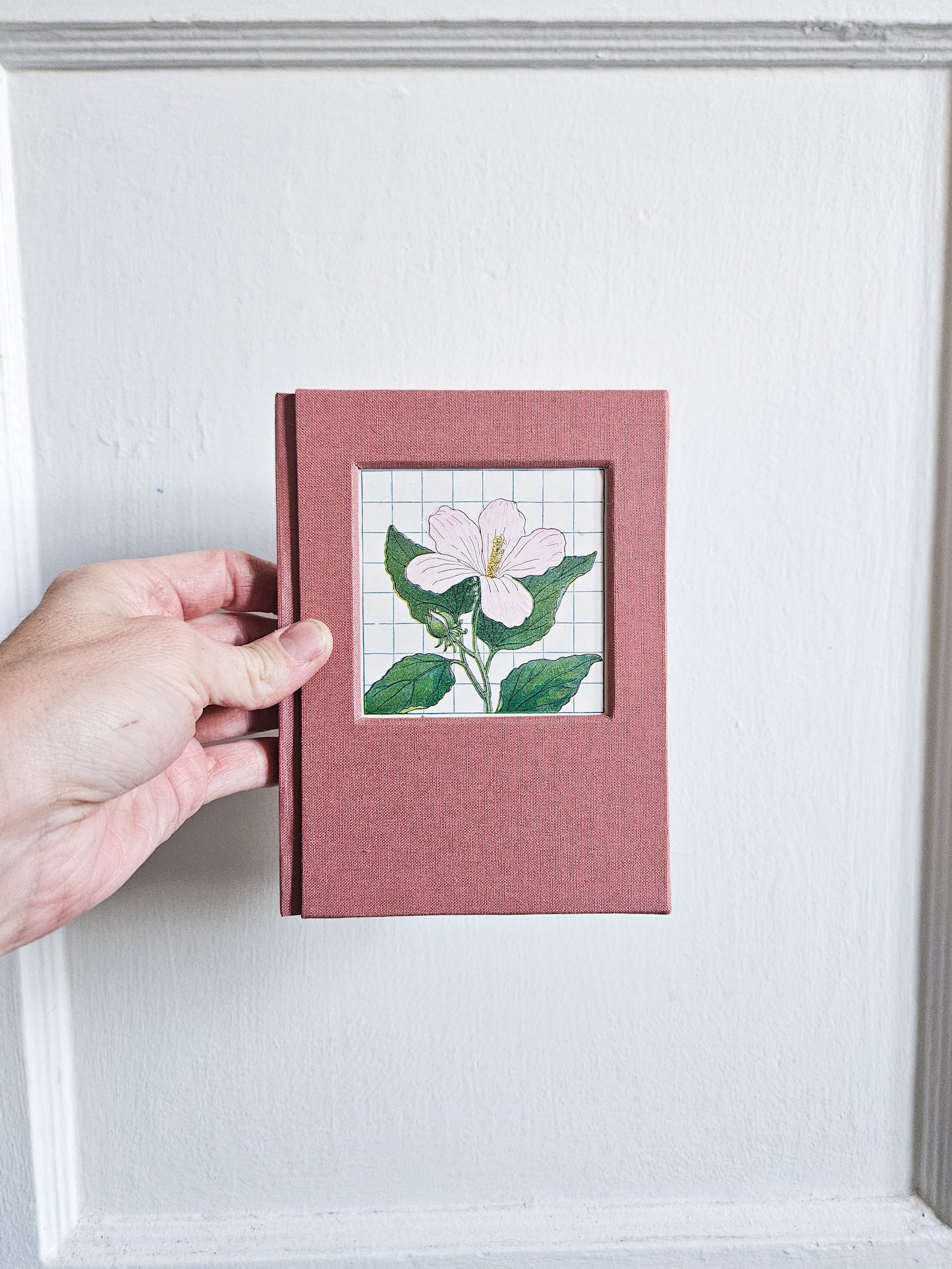 SWAMP ROSE MALLOW JOURNAL