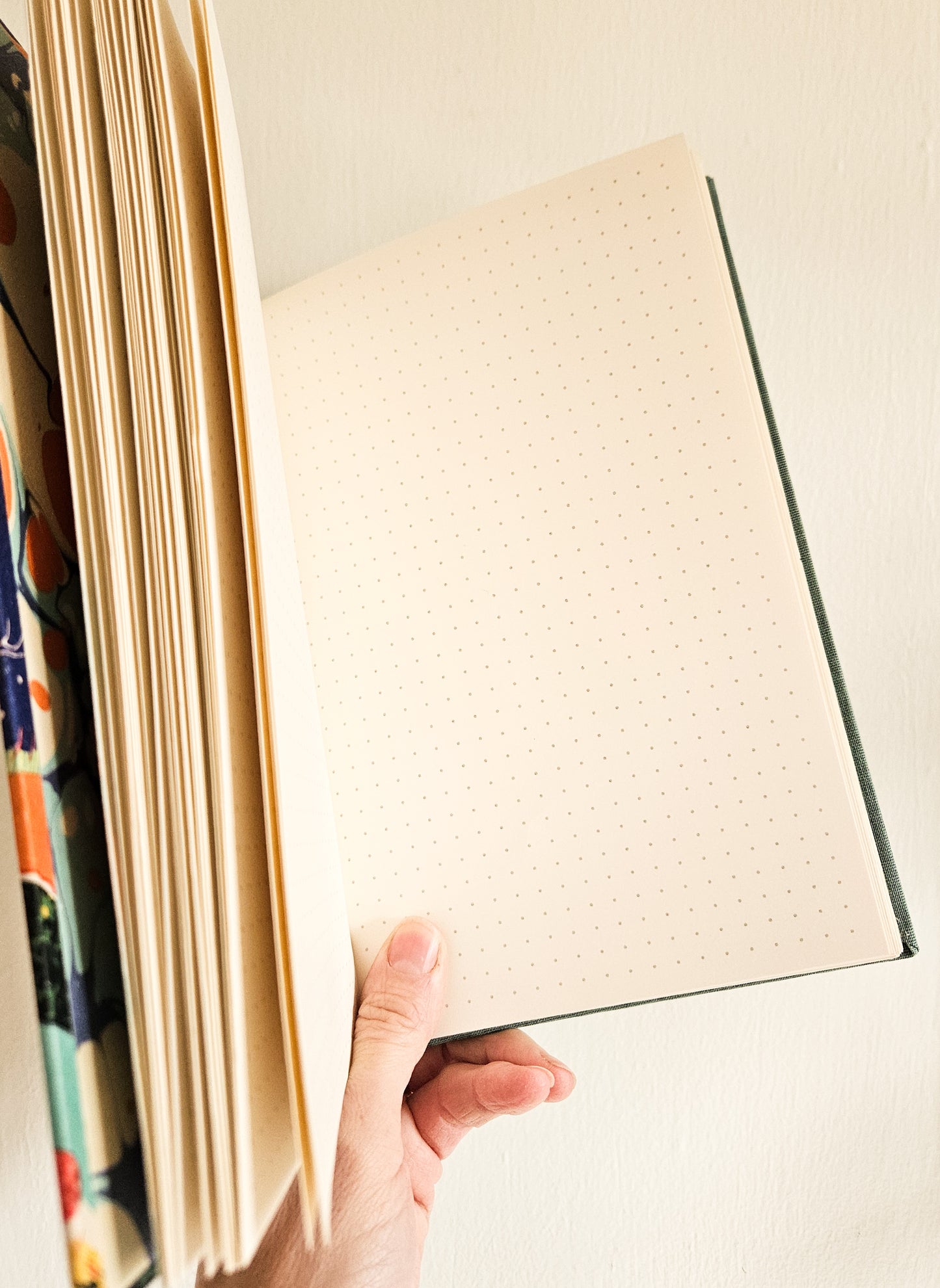 GOOSE AND THE LADYBUG JOURNAL