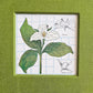 LARGE FLOWER TRILLIUM JOURNAL