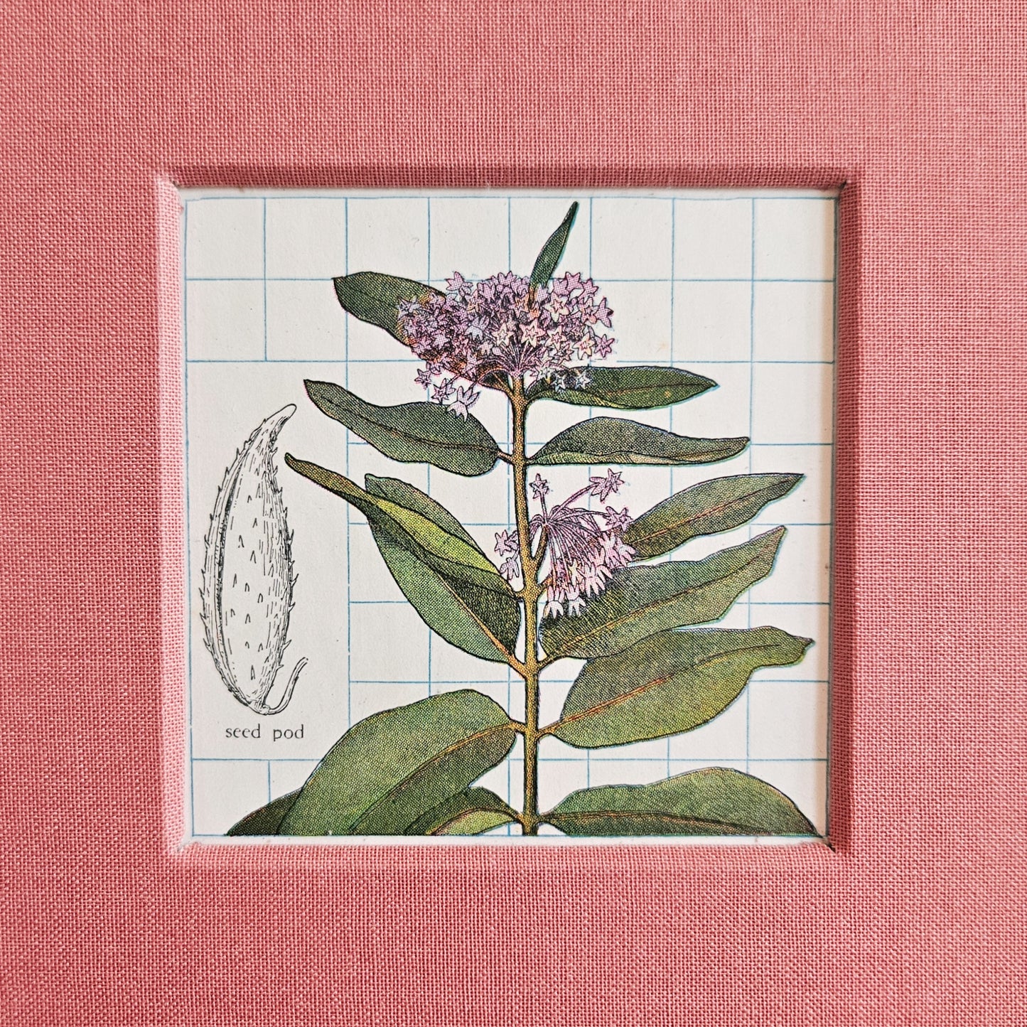MILKWEED JOURNAL