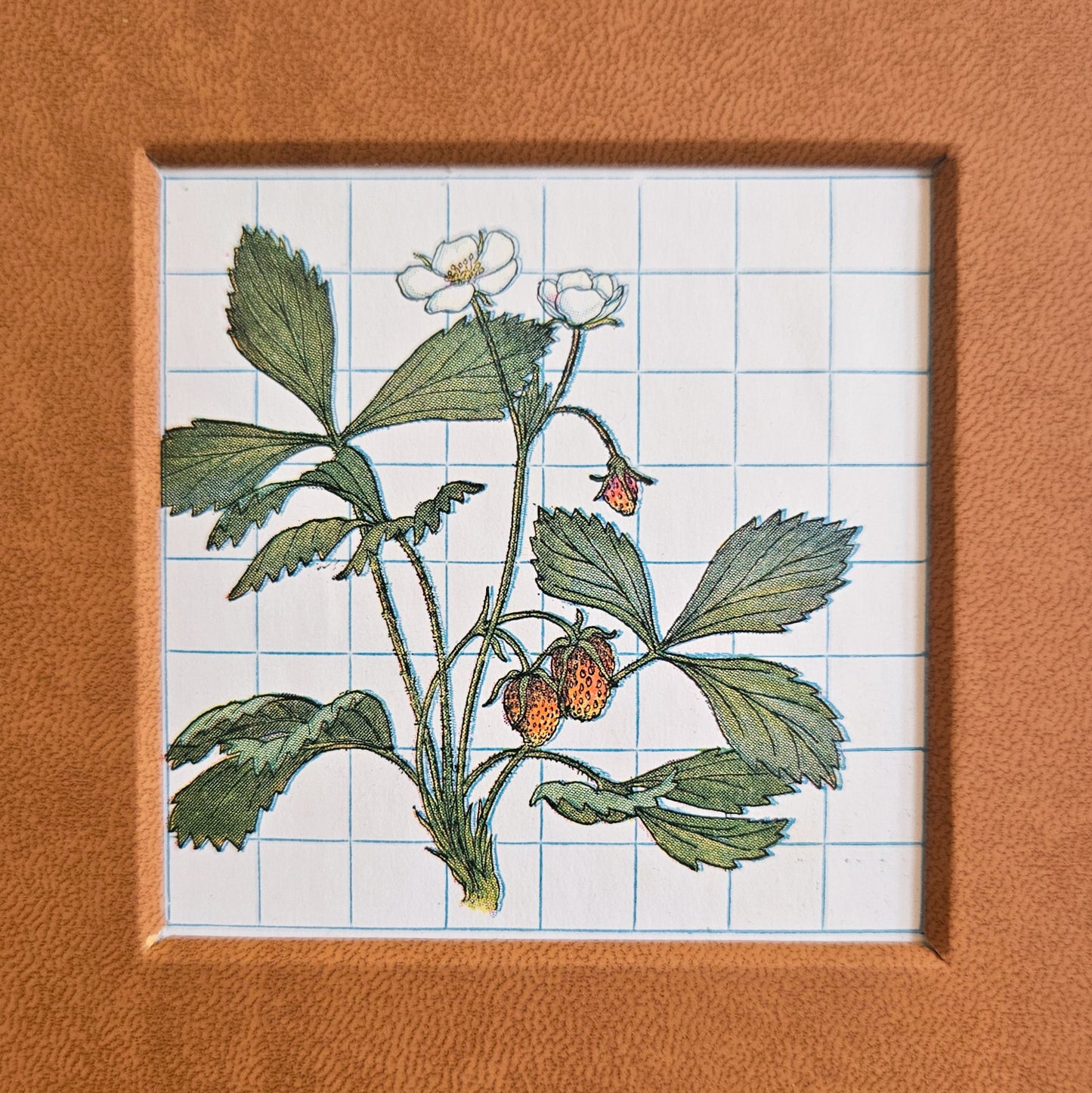WILD STRAWBERRY JOURNAL