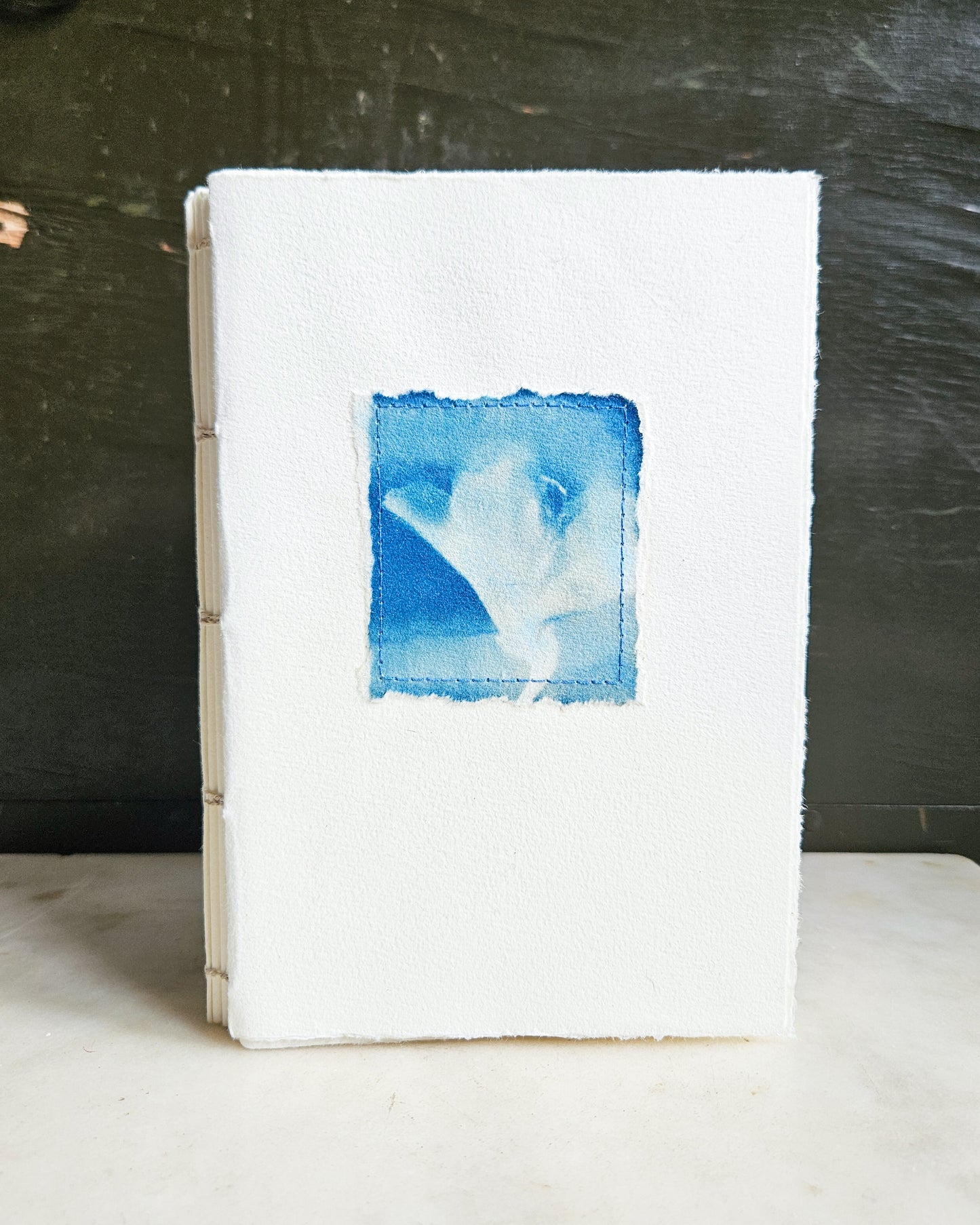 CYANOTYPE #13