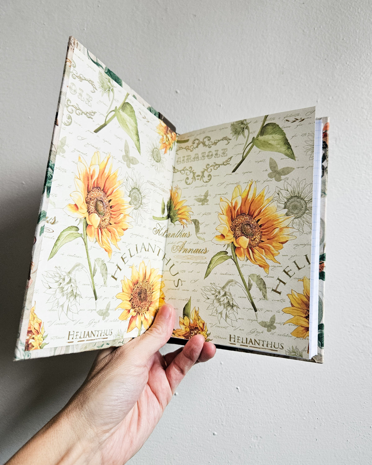 TOAD AND MOUSE JOURNAL