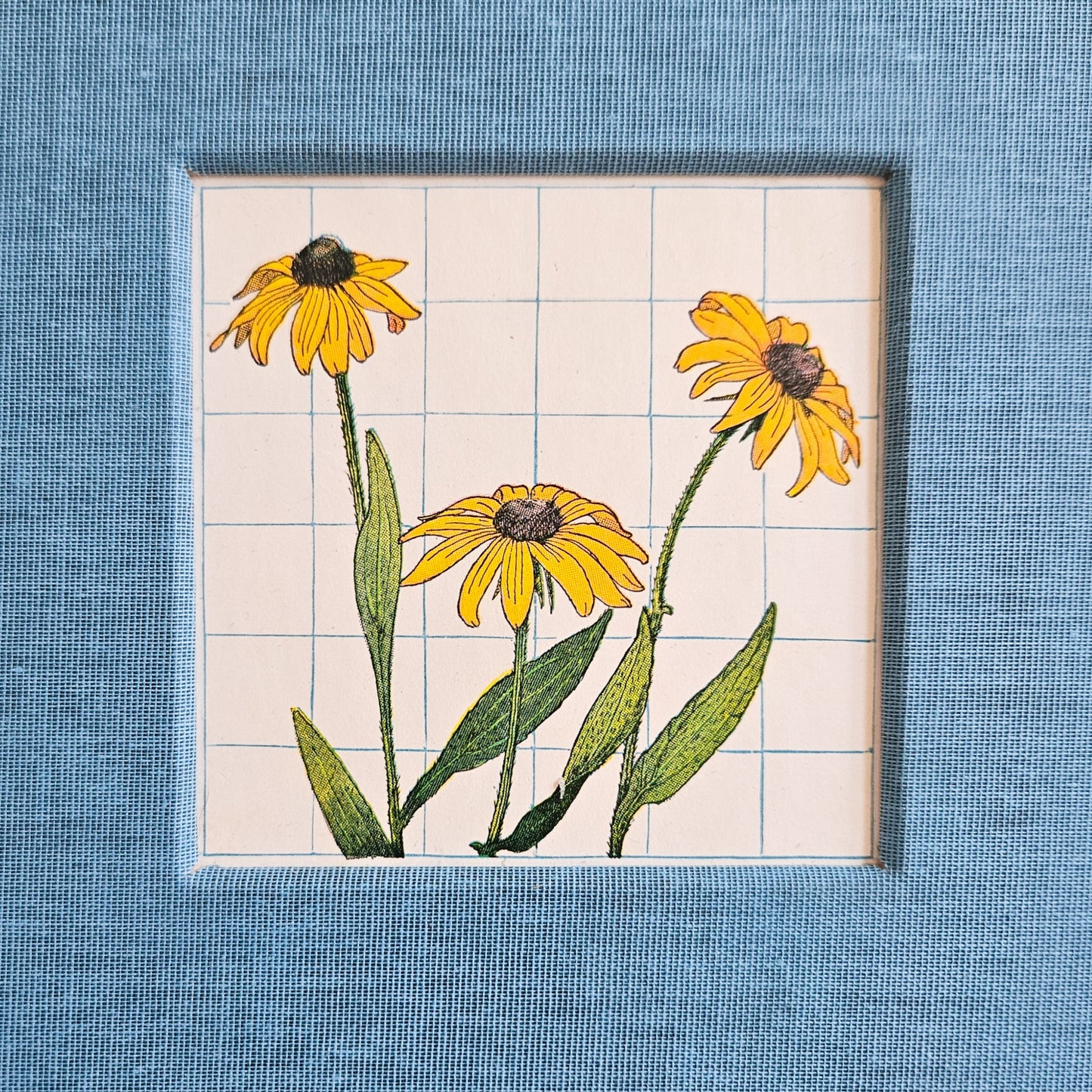 BLACK EYED SUSAN JOURNAL