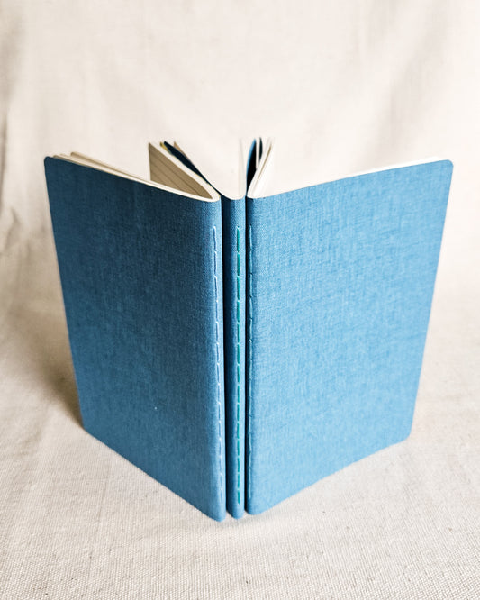 ROBIN BLUE JOURNAL