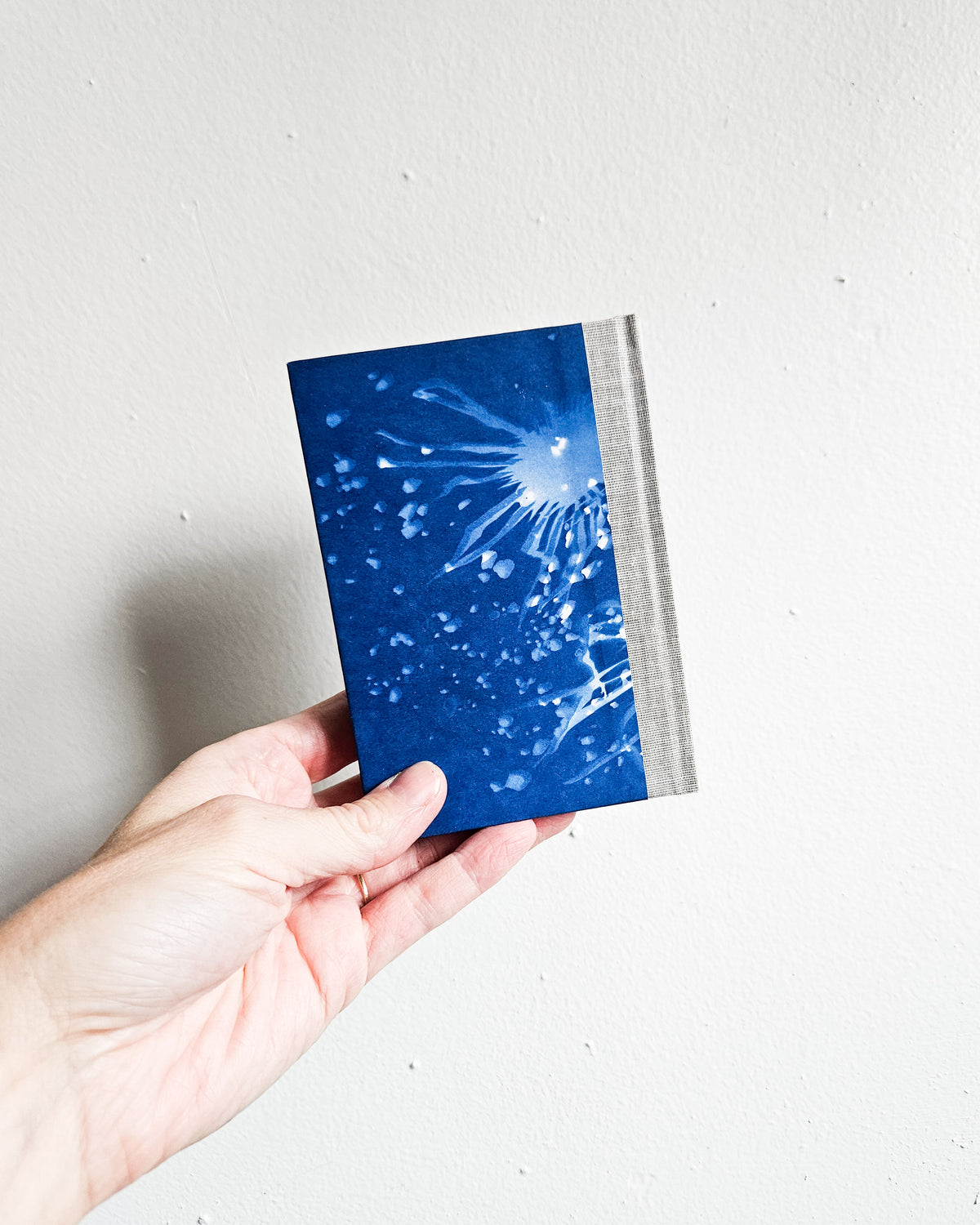 CYANOTYPE #1