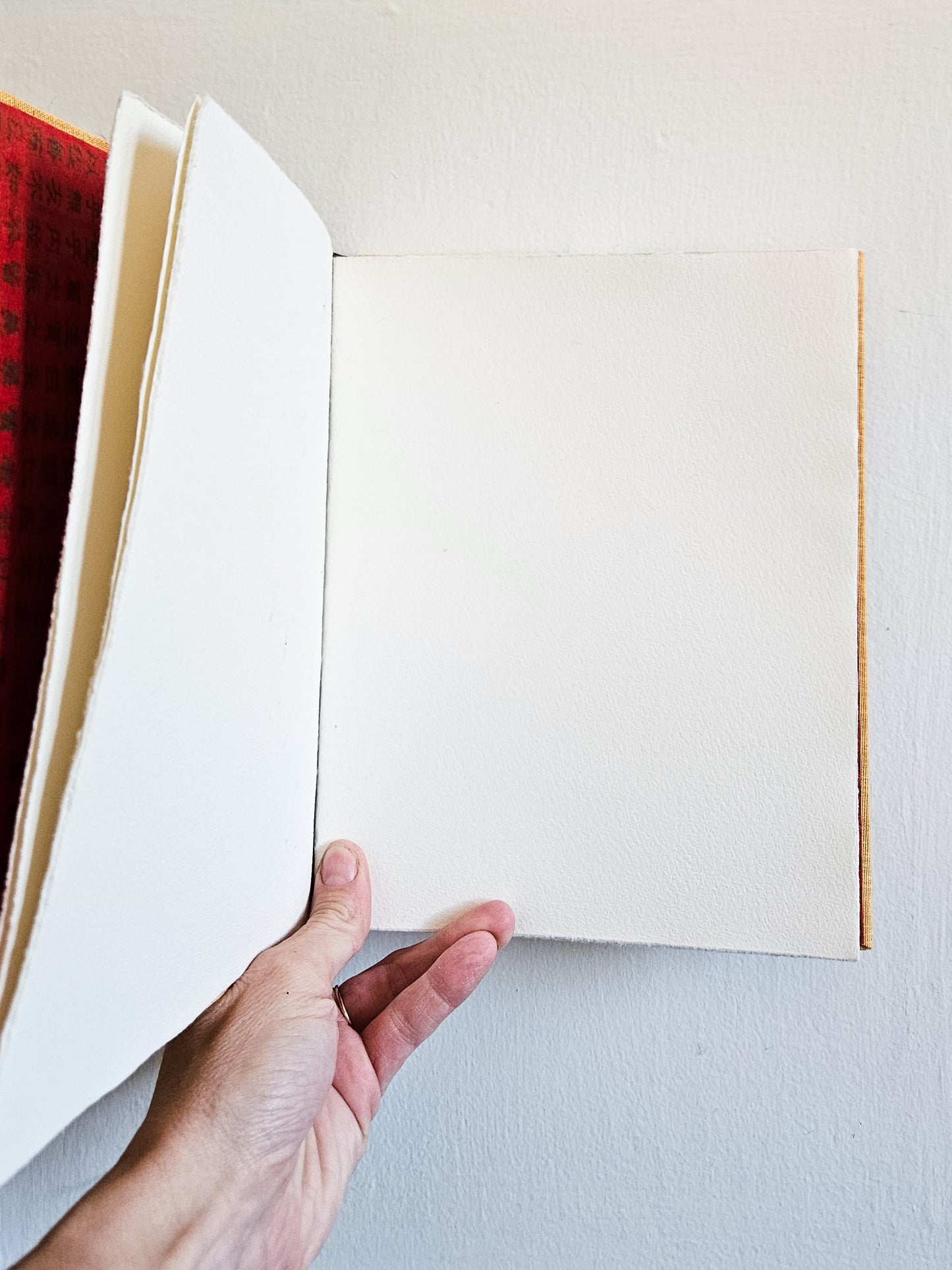 MATISSE IN YELLOW JOURNAL