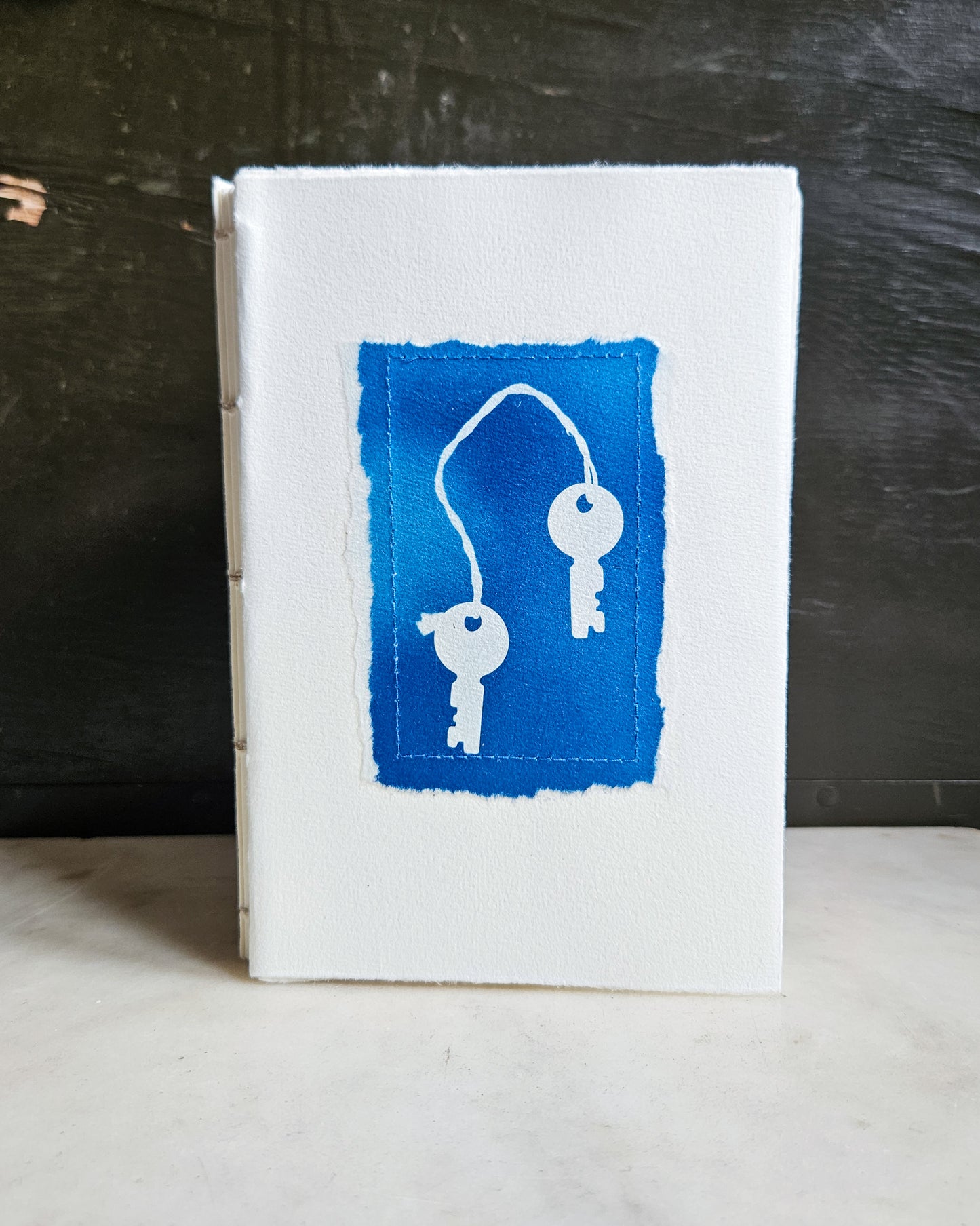 CYANOTYPE #11